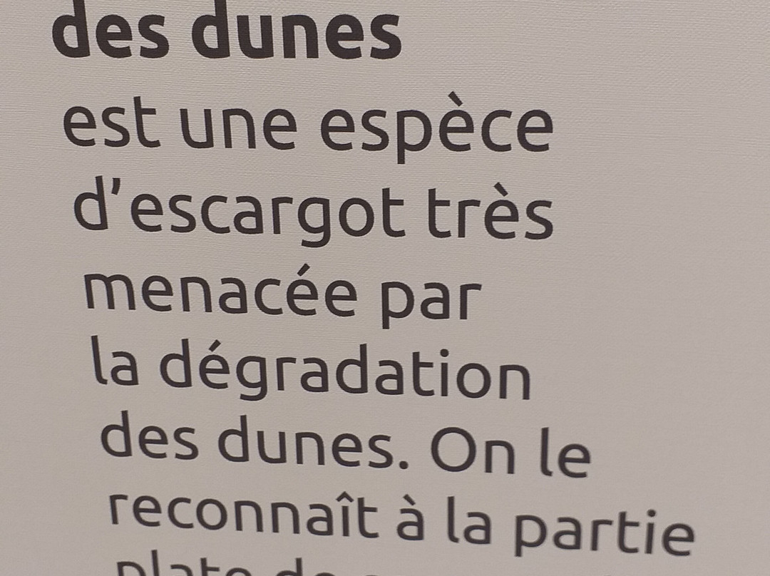 Plage des Orpellières-Serignan必去景点