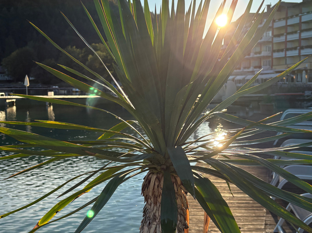 Hotel & Spa Sonne主图