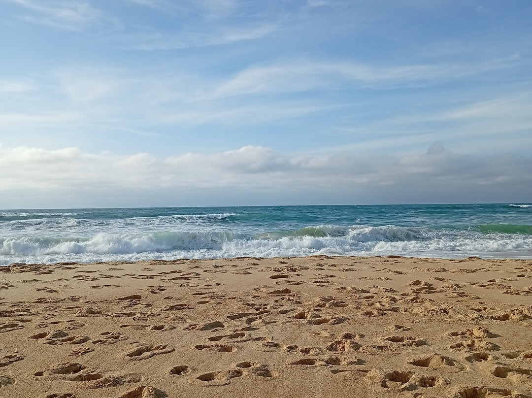 Moliets Surf School-Moliets et Maa必去景点