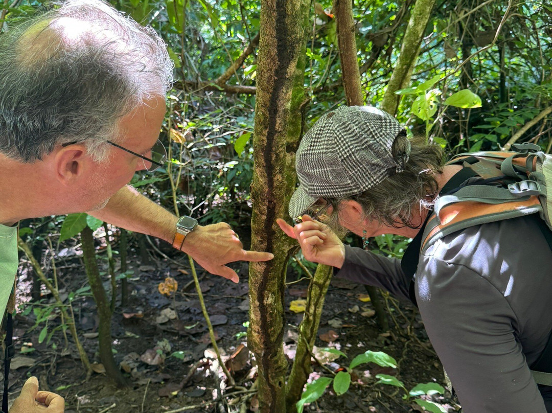 Nature Tours Gabriela-诺萨拉必去景点