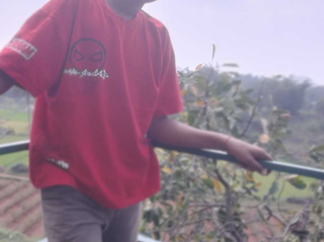 Cloud Forest Entertainment Park-Yelagiri必去景点