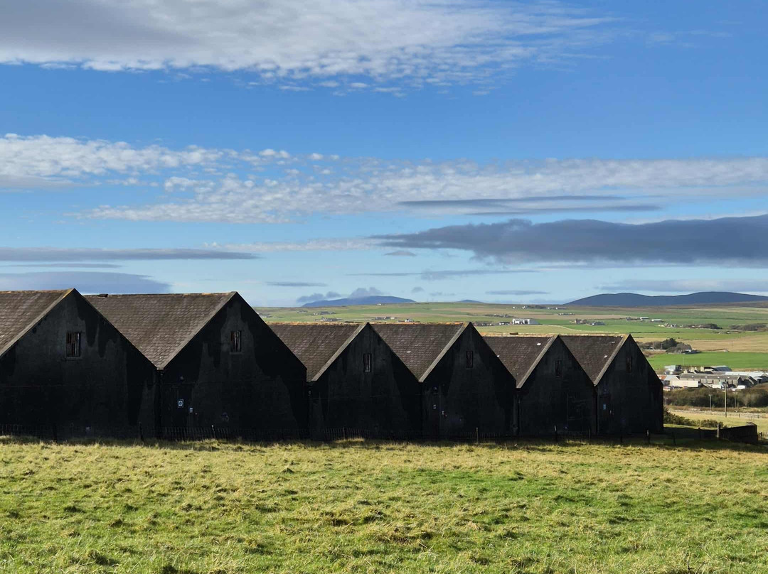 Highland Park Distillery-柯克沃尔必去景点