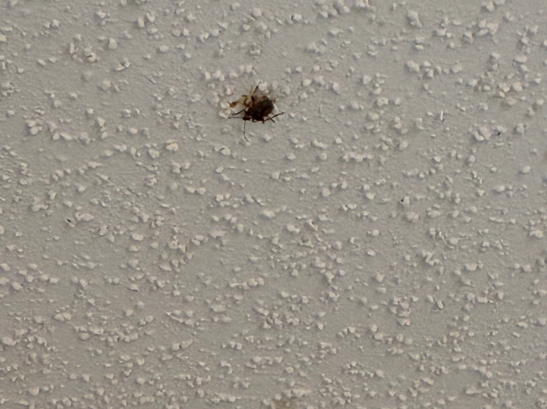 Days Inn by Wyndham Childersburg/Sylacauga主图