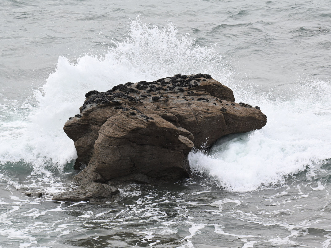 Godrevy-Gwithian必去景点
