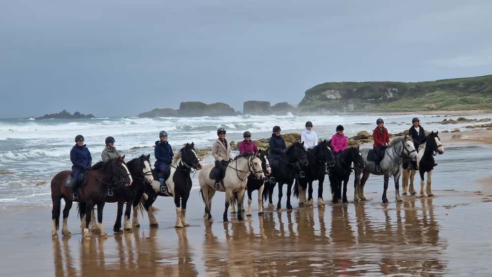 Bespoke Equestrian Ireland-都柏林必去景点