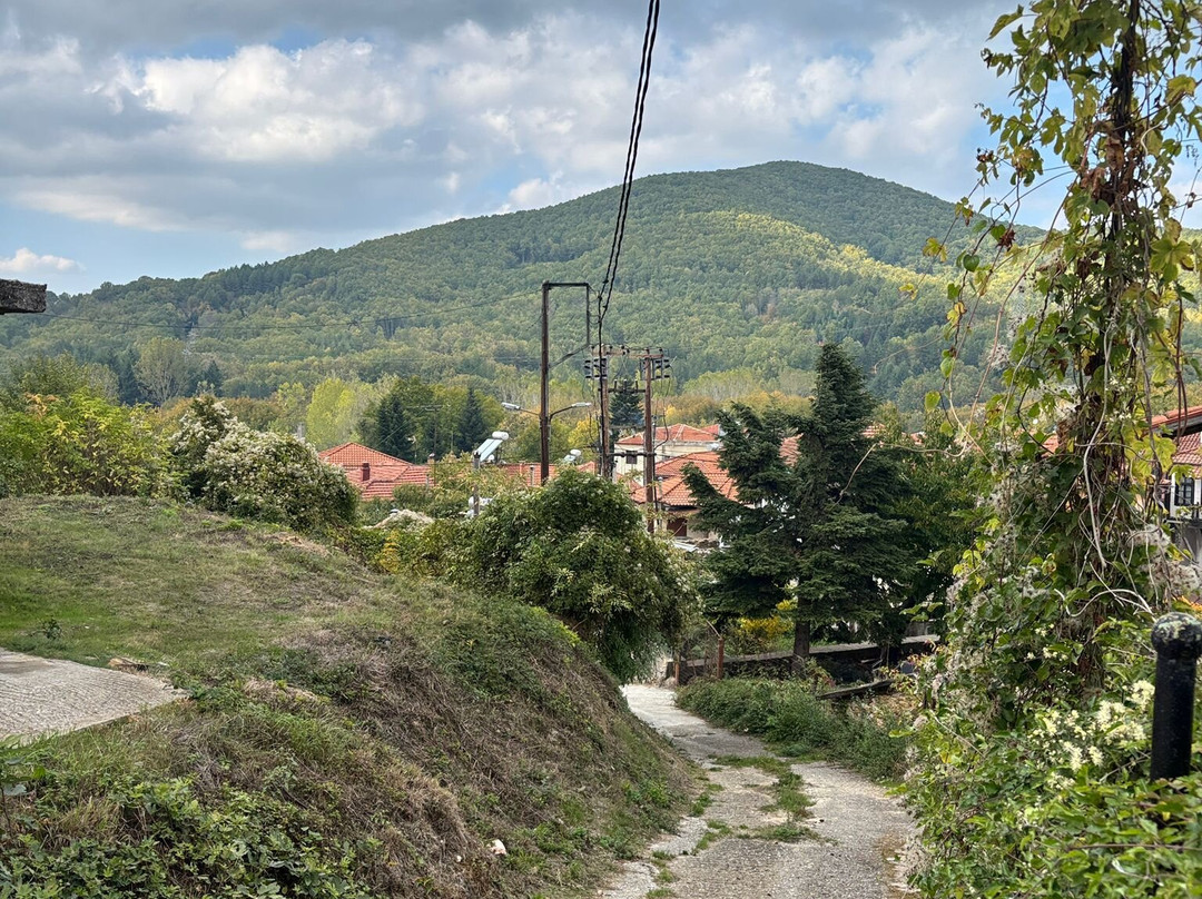 Aristotelis Road Trip-Ierissos必去景点