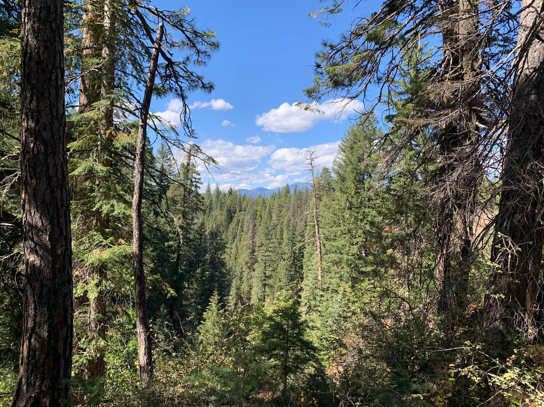 McCloud River’s Three Waterfalls-McCloud必去景点