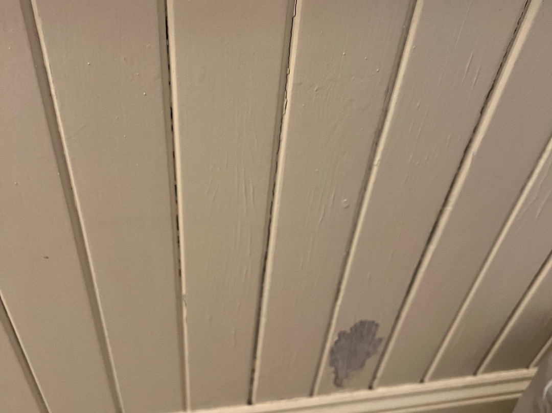 Inn at Jackson主图