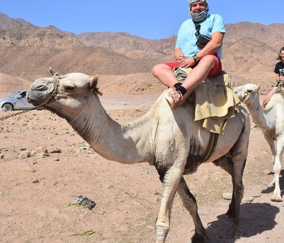 Sharm Happy Tours-沙姆沙伊赫必去景点