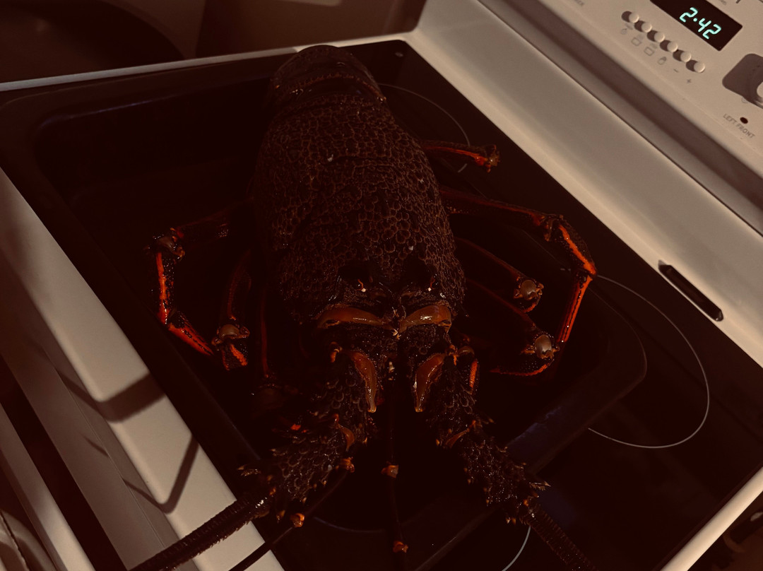 South Sea Hotel主图