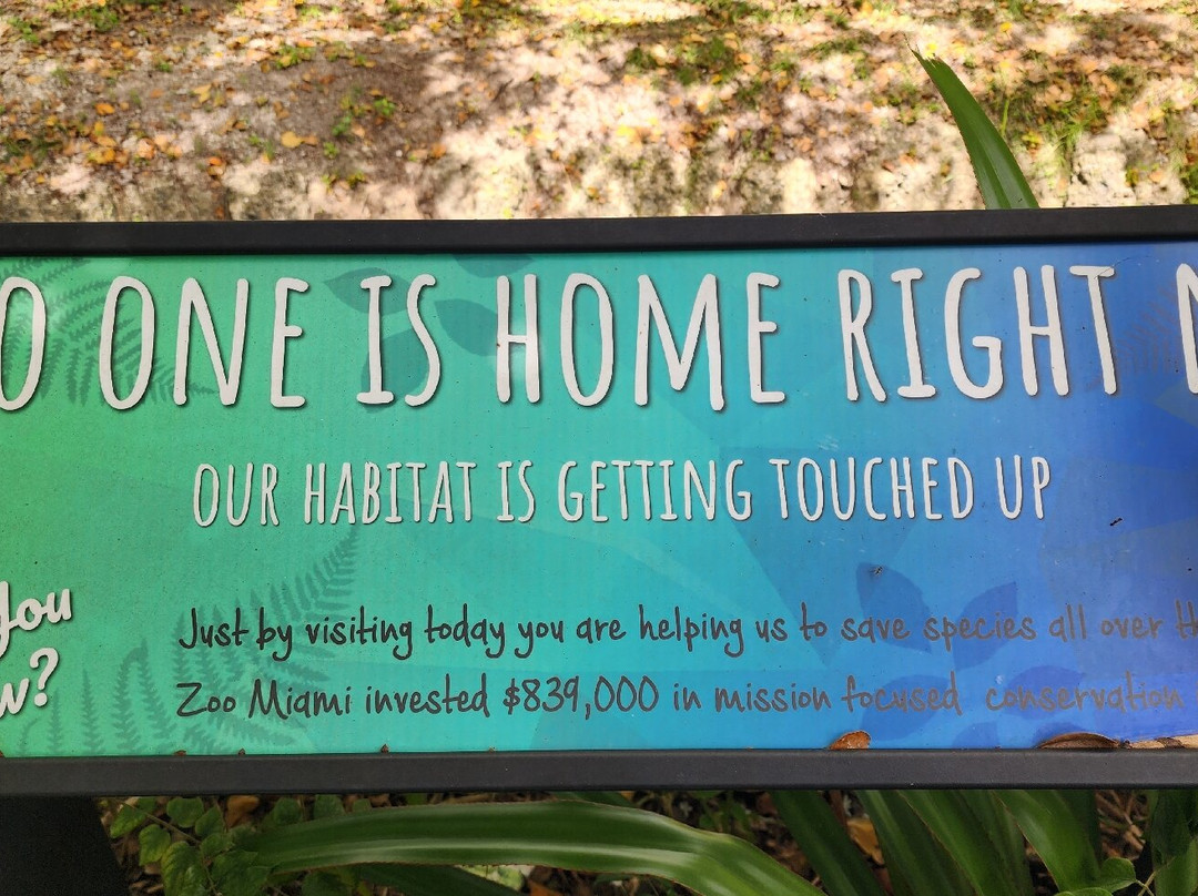 迈阿密动物园-迈阿密必去景点