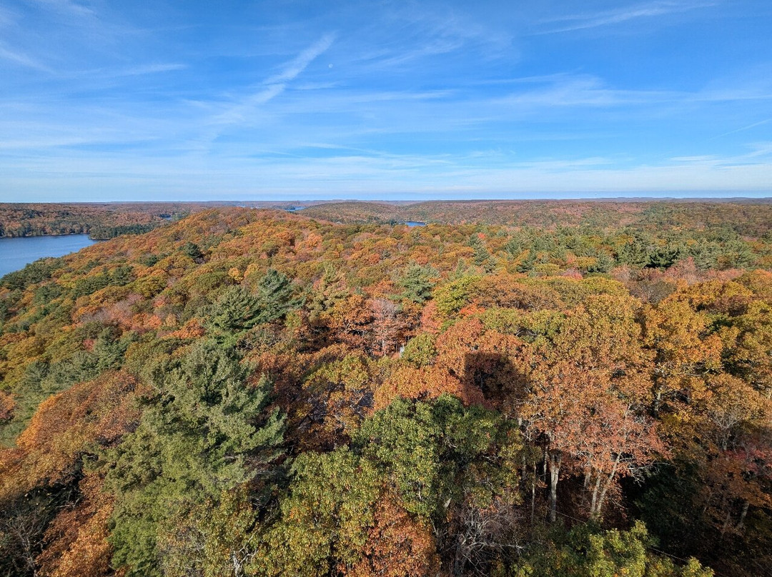 Dorset Scenic Lookout Tower-Dorset必去景点