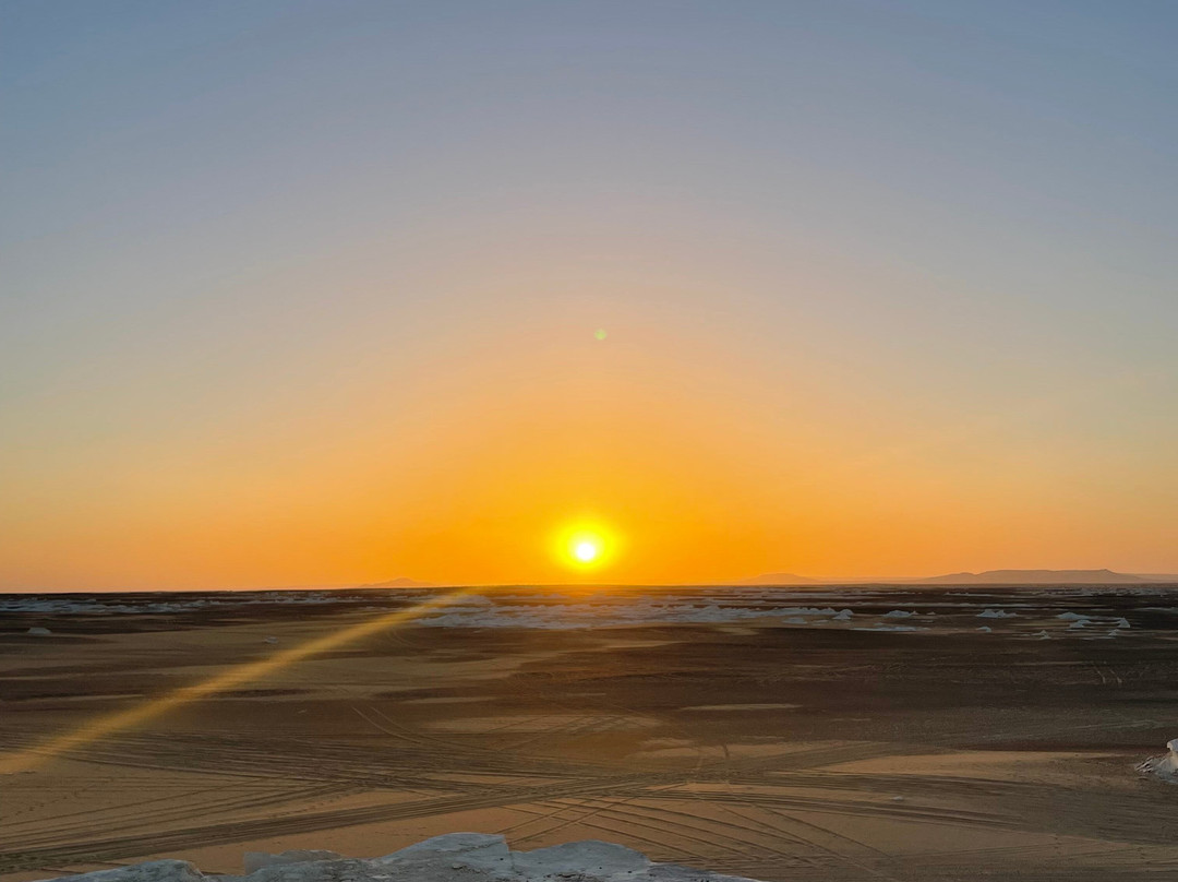 white desert travel-Bahariya Oasis必去景点