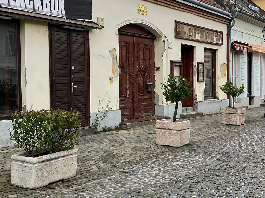 Sétálóutca-Mosonmagyarovar必去景点