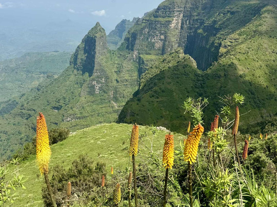 Ethiopian Wolf Trekking-Debark必去景点