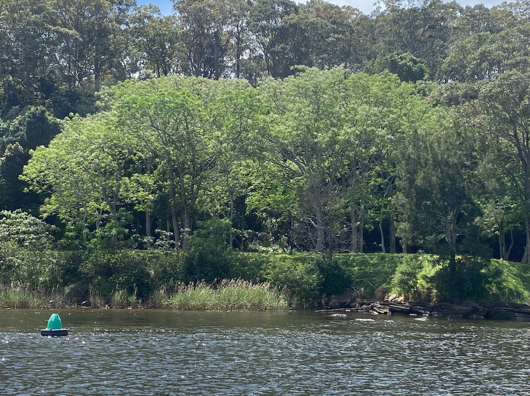 Shoalhaven River Cruise-瑙拉必去景点