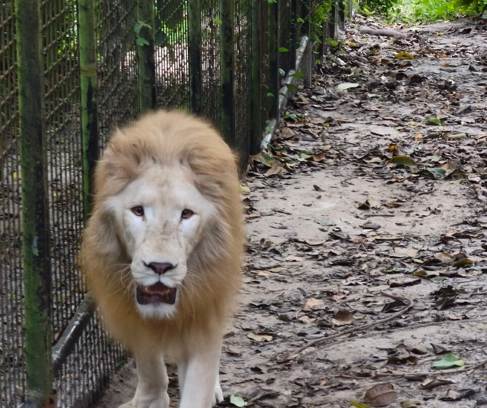 猎豹动物园-桑给巴尔岛必去景点