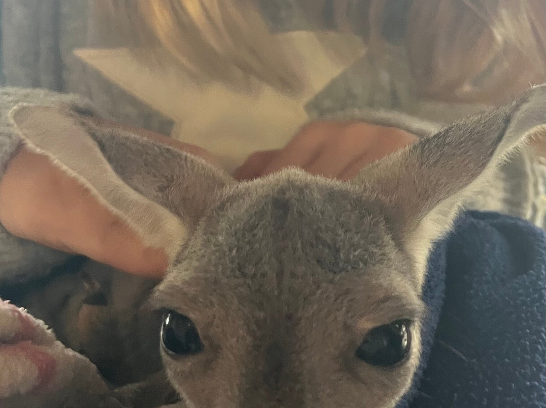 Safari Zoological Park-Caney必去景点