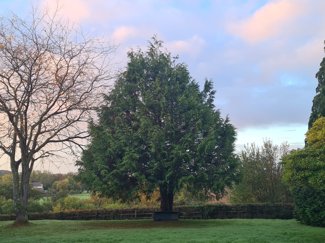 The Grange Court Hotel主图