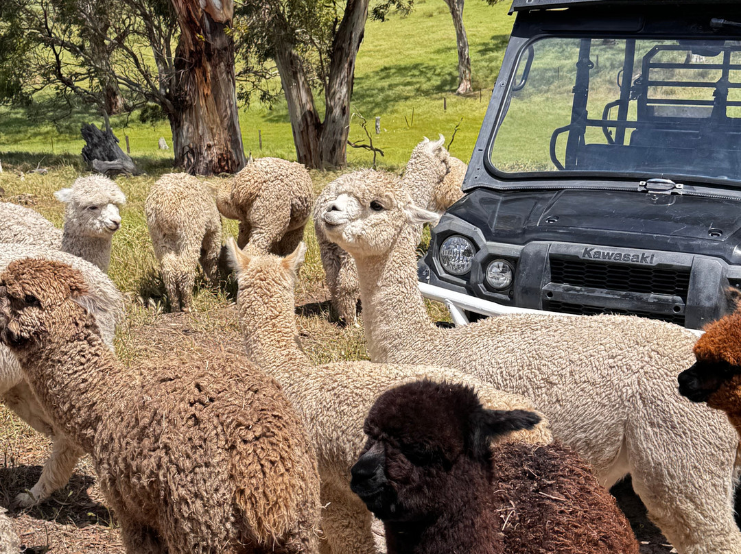 Softfoot Farm & Wildlife Park-Hindmarsh Valley必去景点