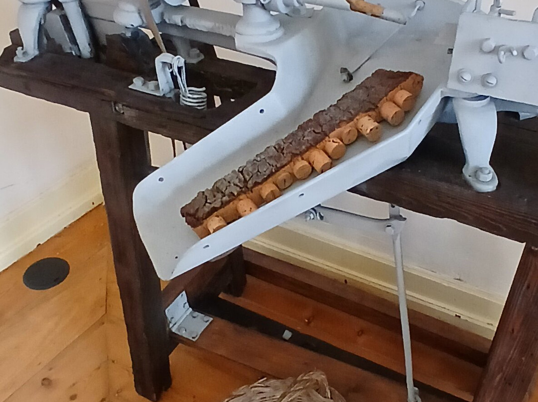 Casa do Montado-埃武拉必去景点