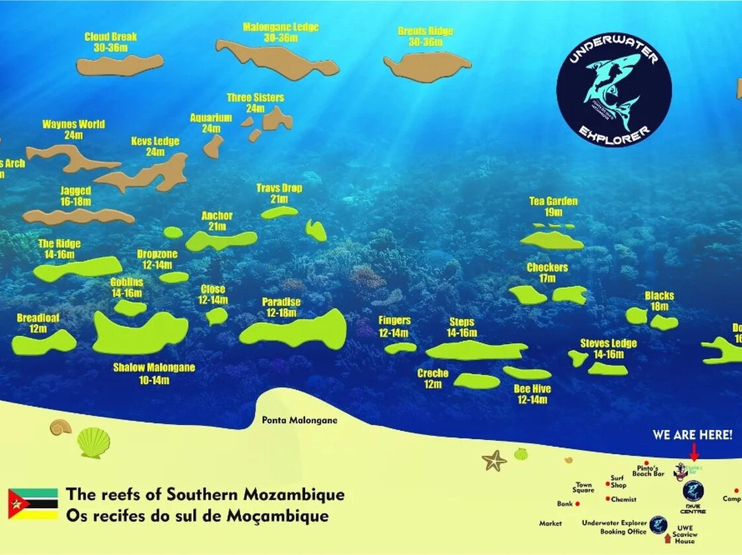 Gozo Azul Diving-Ponta do Ouro必去景点