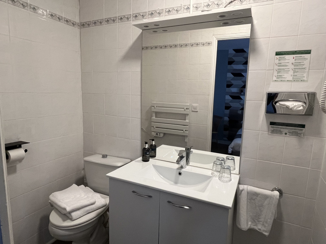 Logis Hôtel le Cygne主图