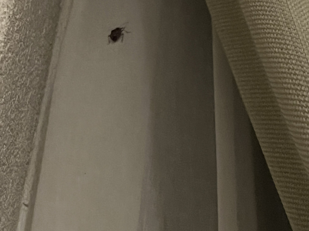 Appartementen Valkenburg主图