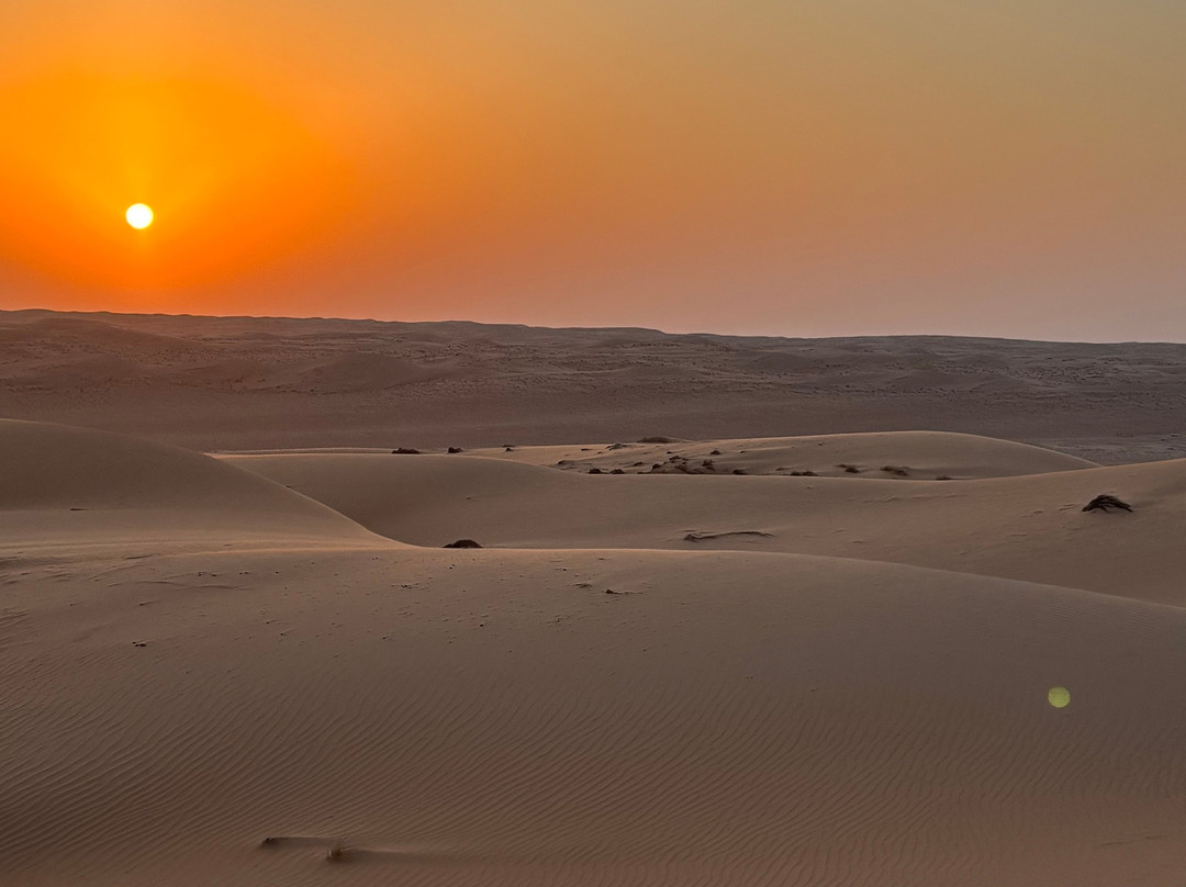 Desert Camels Adventure Tours-尼日瓦必去景点