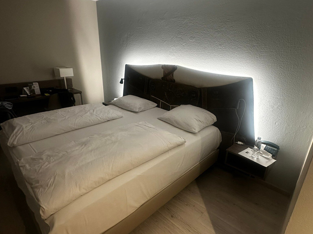 罗森海姆全景城市酒店主图