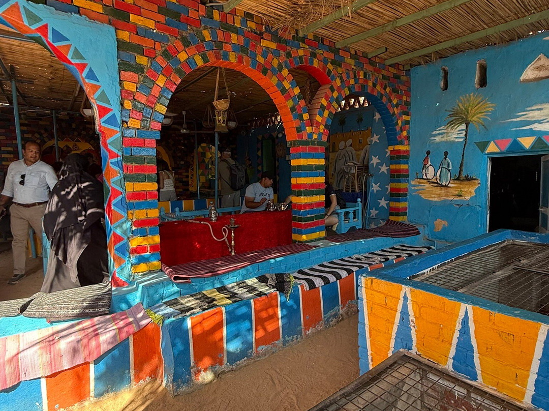 Christiane Botros guide francophone à Assouan-亚斯文必去景点