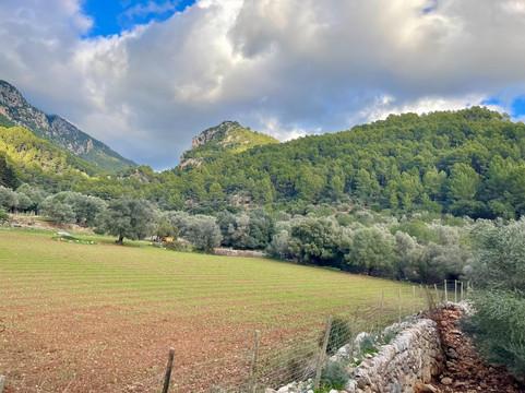 El Tren de Soller-马洛卡帕尔马必去景点