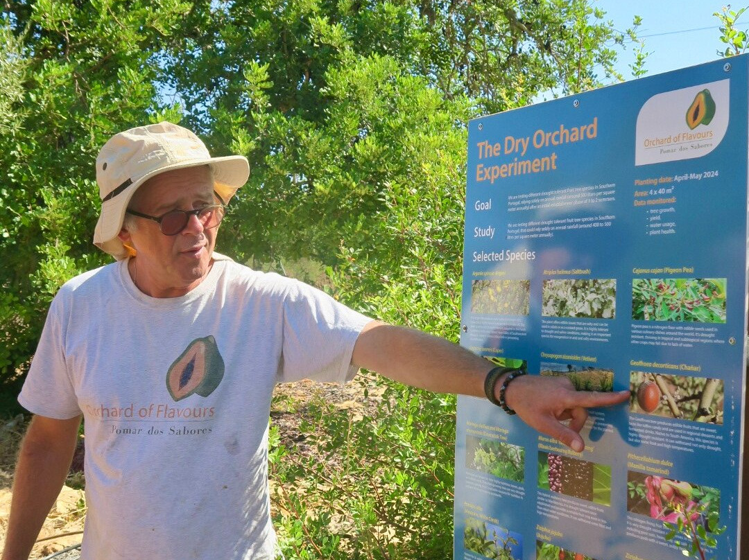 Orchard Of Flavours Botanical Garden-Luz de Tavira必去景点