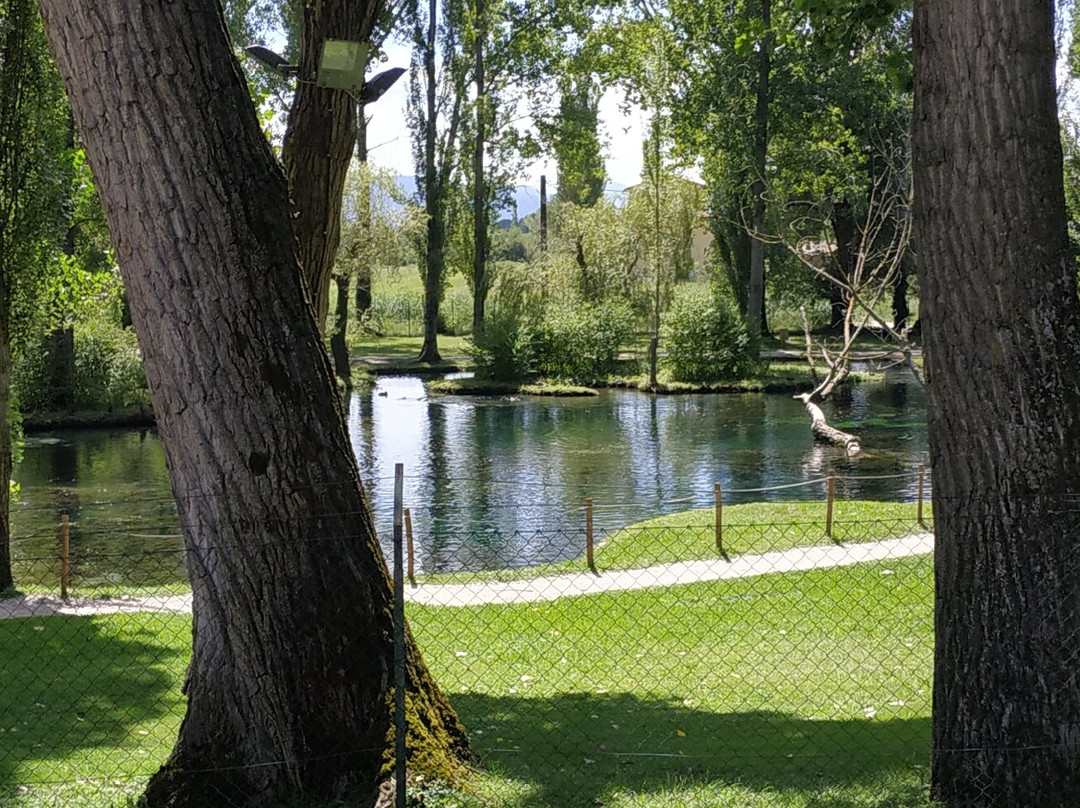 Le Fonti del Clitunno-Campello sul Clitunno必去景点