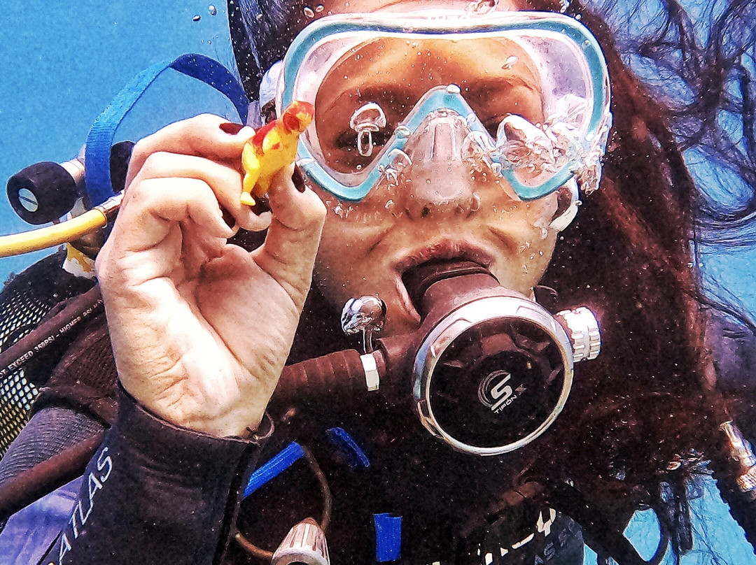 Tenerife Into The Blue - Dive In The Adventure