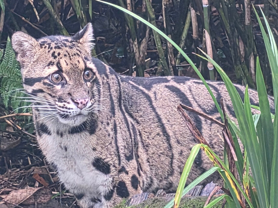 Exmoor Zoo-巴恩斯特珀尔必去景点