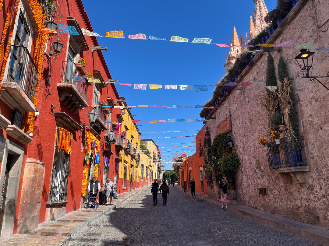 Camiba Cultural Tours-奥斯丁必去景点