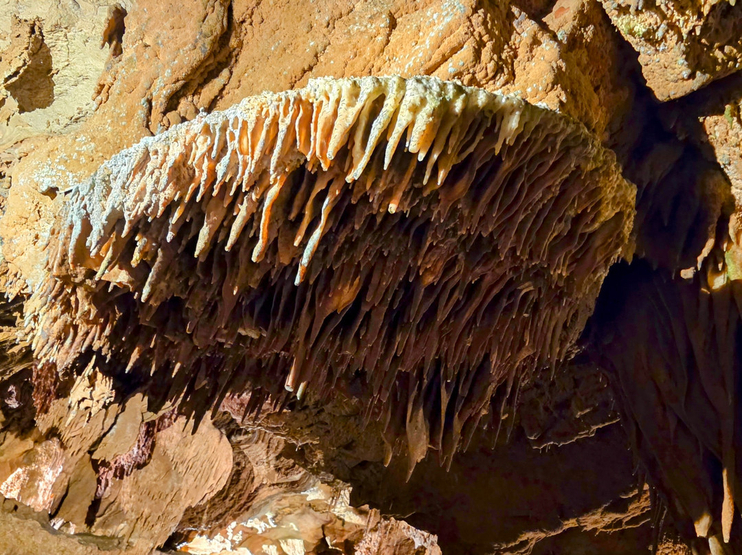 Grand Caverns-Grottoes必去景点
