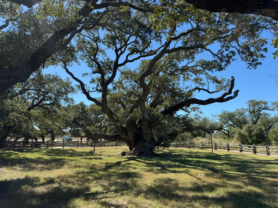 Goose Island State Park-罗克波特必去景点