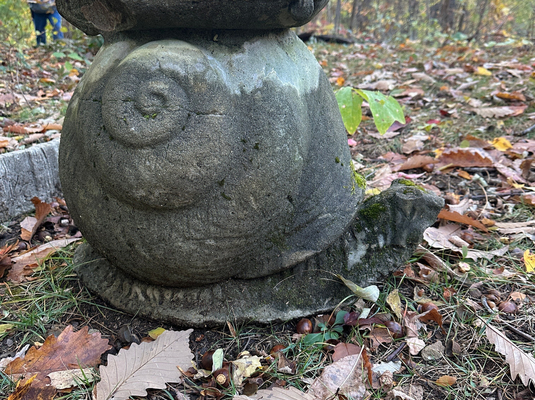 Cataract Falls-大雾山国家公园必去景点