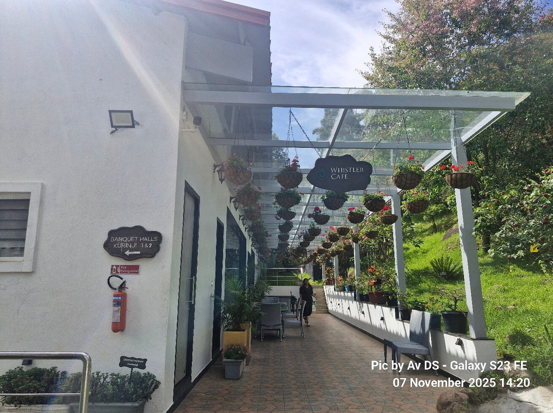 泰米尔纳德邦餐馆和美食-Whistler Cafe