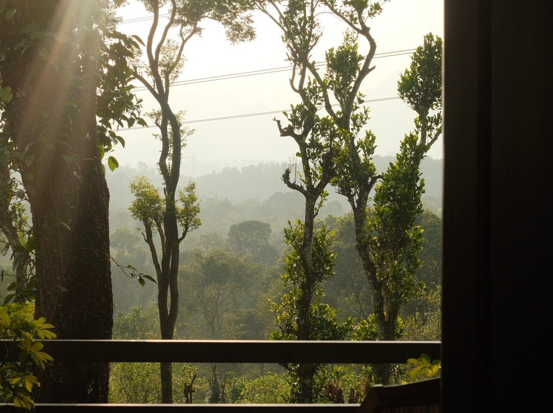 Dhanagiri Home Stay主图