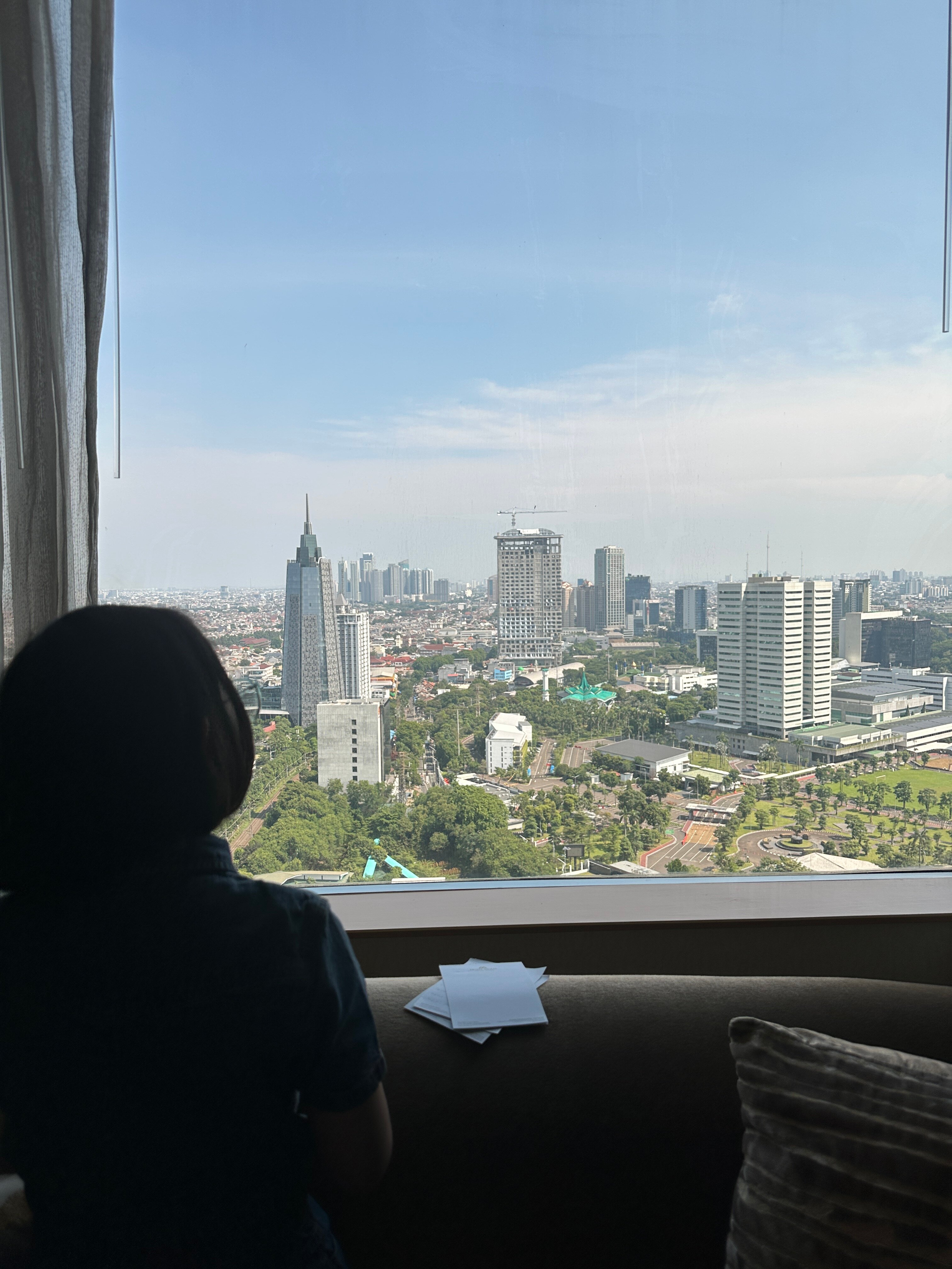 The Suites at Hotel Mulia Senayan-酒店景观