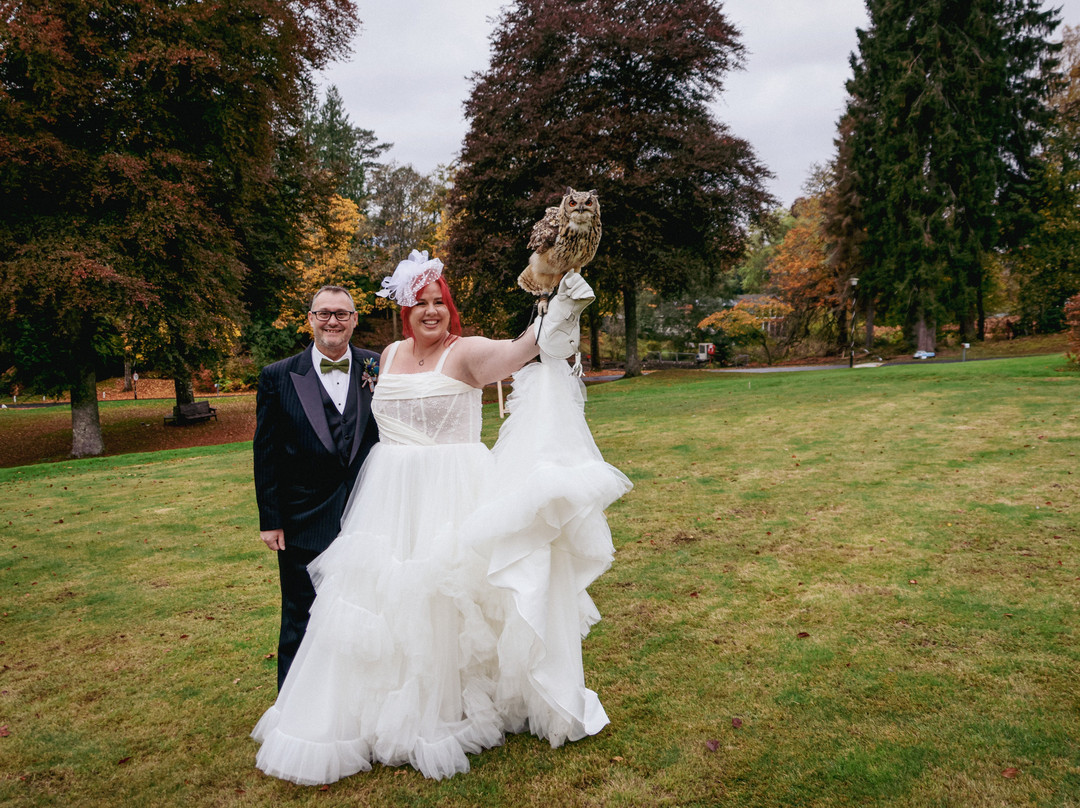 Elite Falconry-Kirkcaldy必去景点