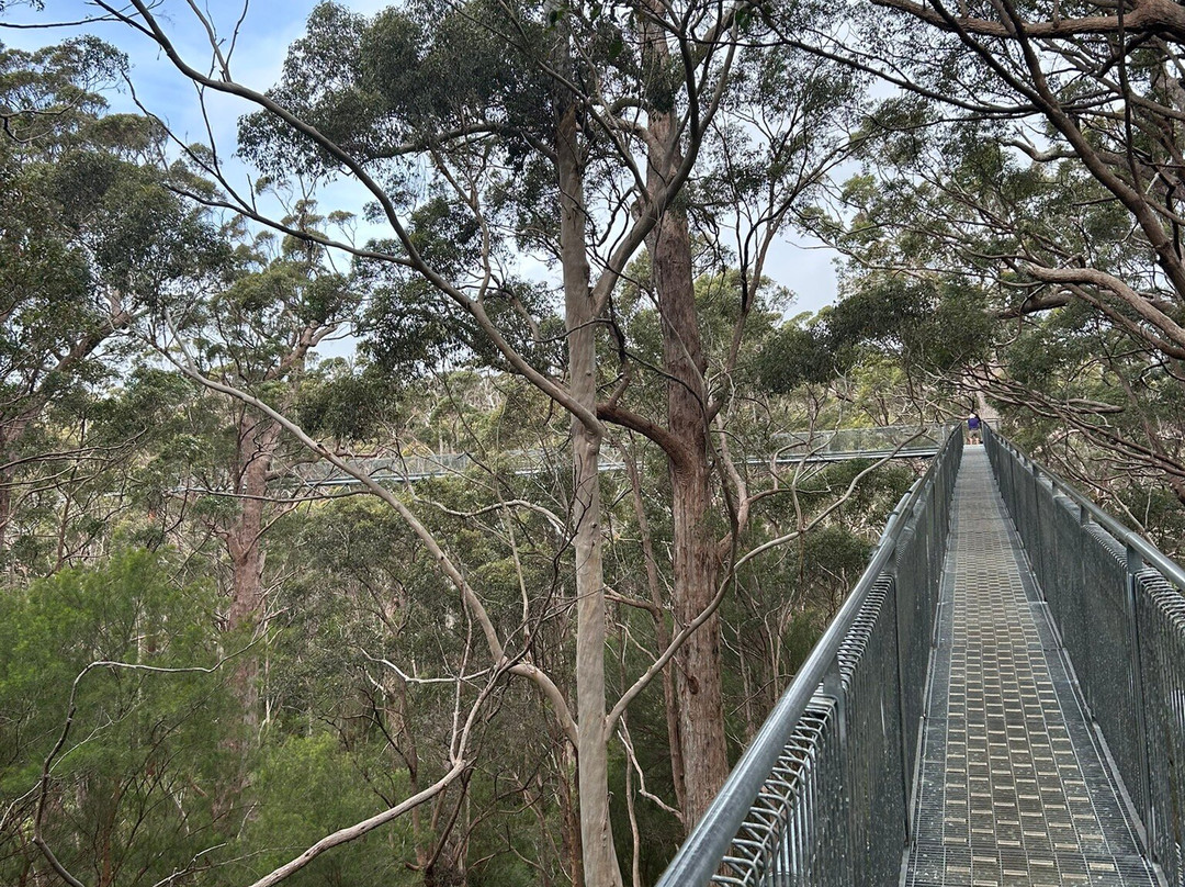 Tree Top Walk Motel主图