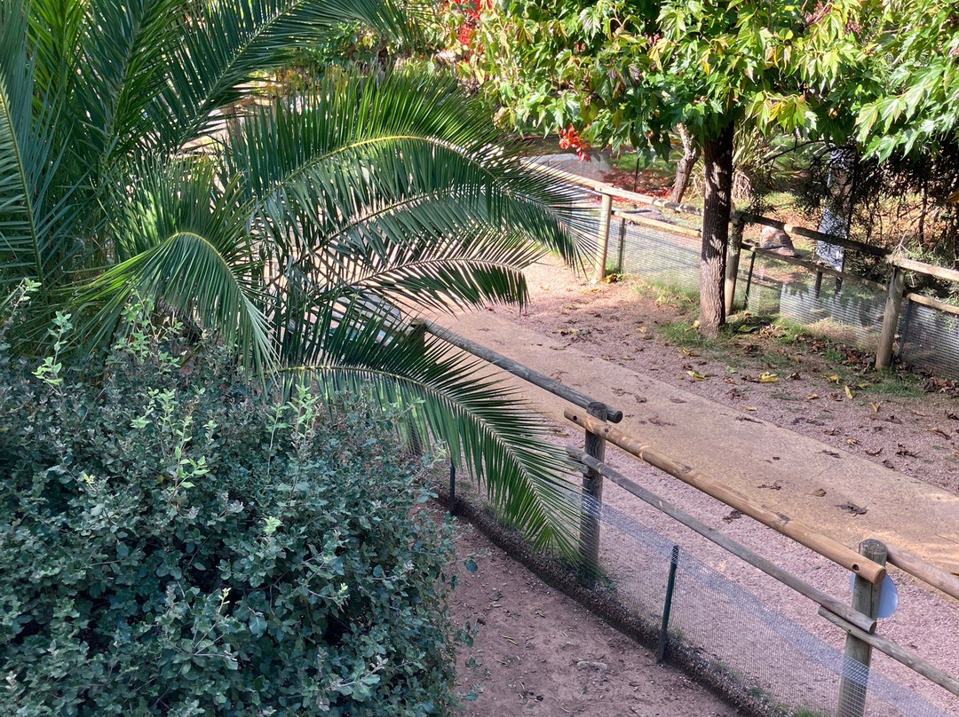 A Cupulatta-Ucciani必去景点