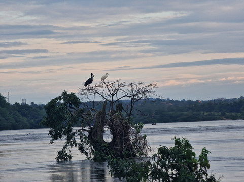 Diddy Safaris Uganda-坎帕拉必去景点