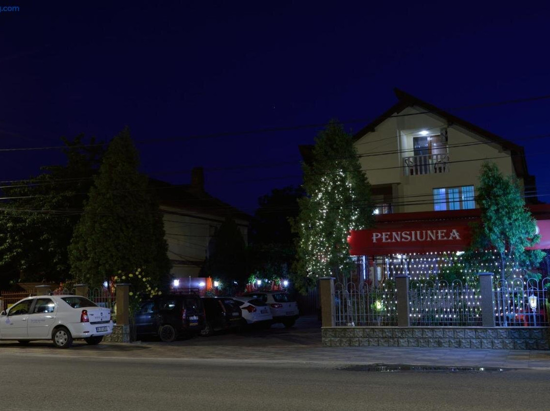 Pensiunea Caro主图