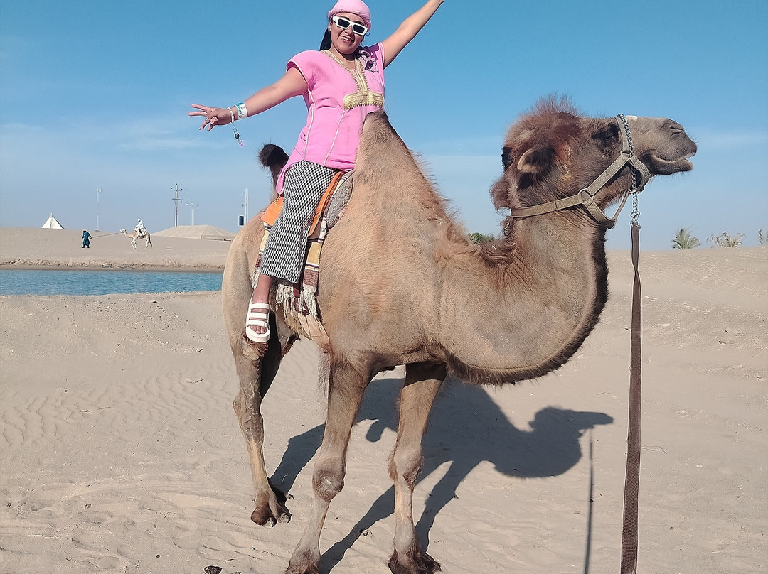 Dromedarius-伊卡必去景点
