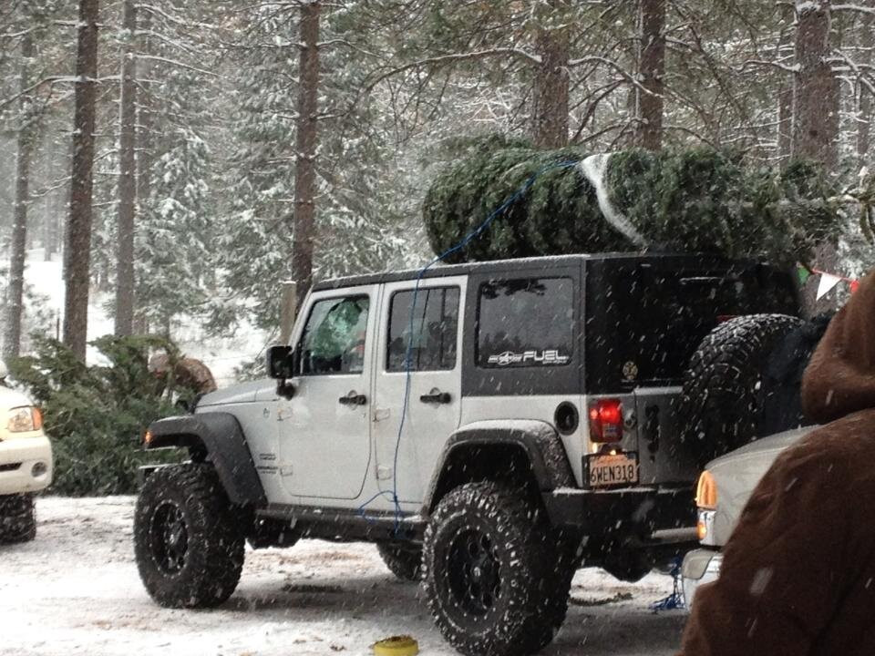 Snowy Peaks Tree Farm-Foresthill必去景点